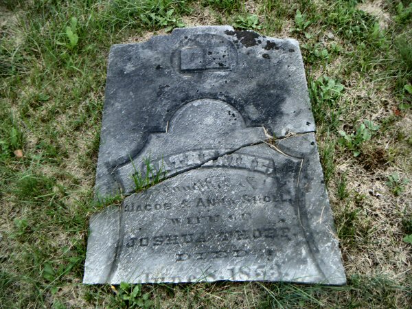 75501044_131438178123